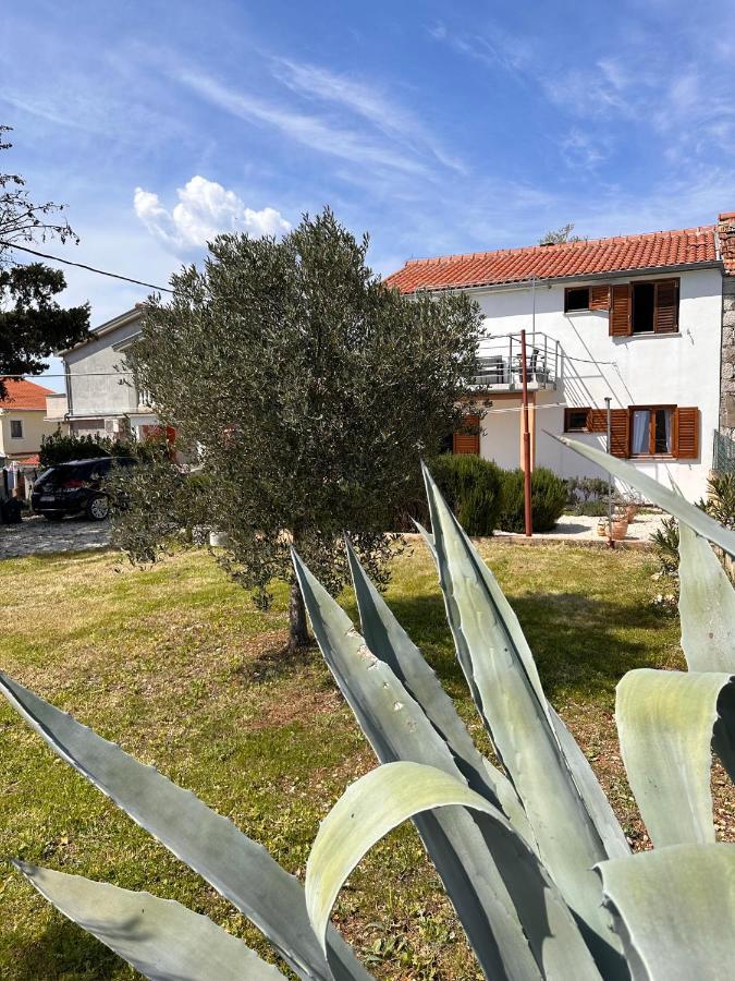 Orange&Blue Apartments Sukošan エクステリア 写真